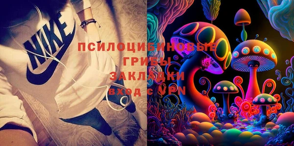 винт Карпинск