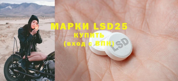 mdpv Каменногорск