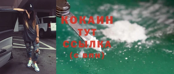 mdpv Каменногорск