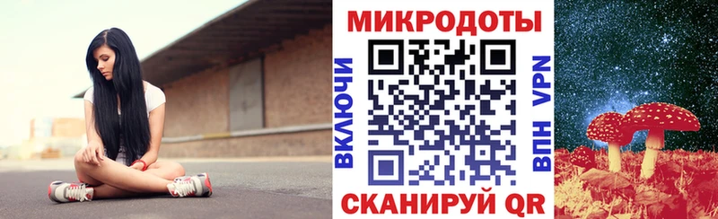 Купить закладки  Елизово  Псилоцибиновые грибы мухоморы 